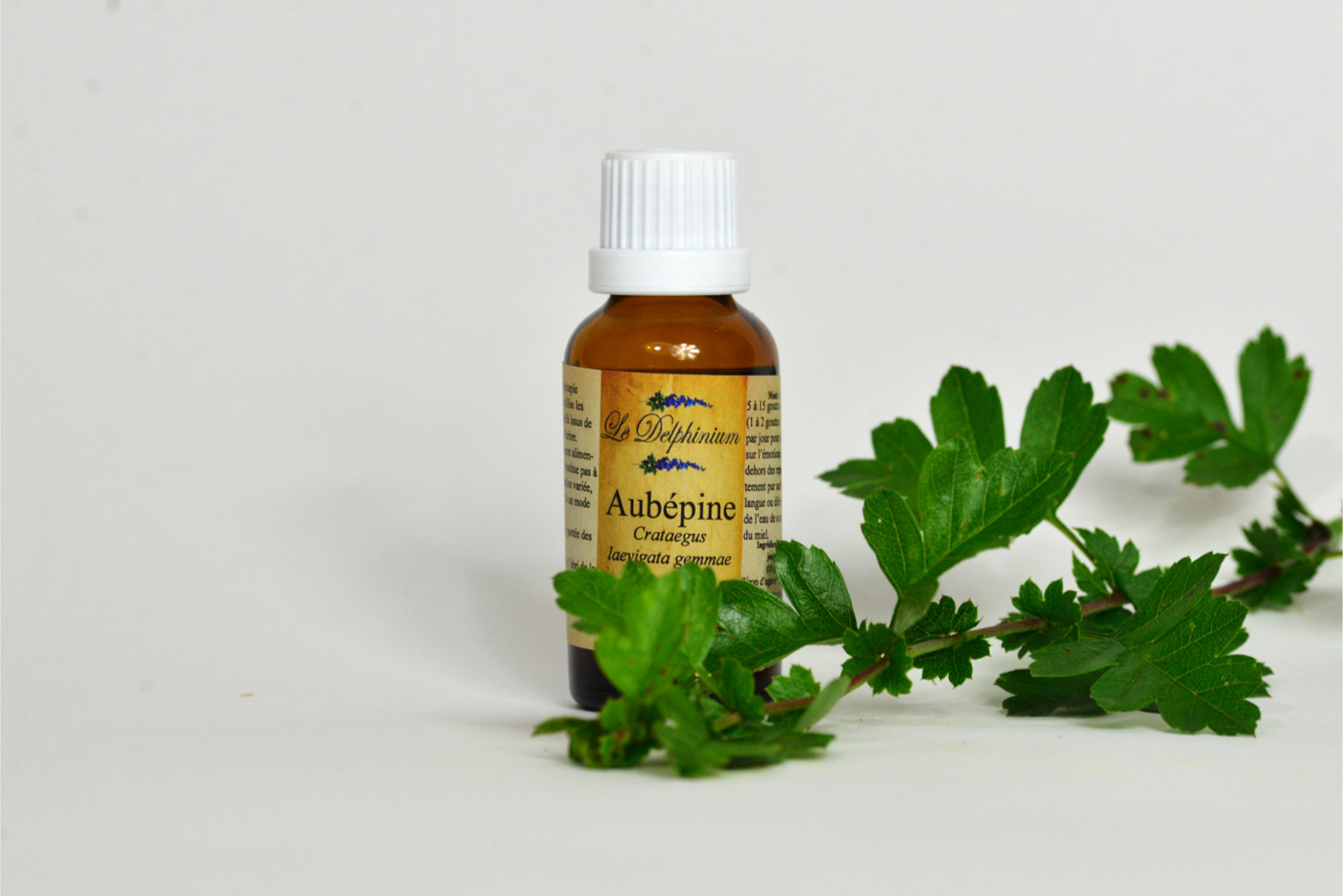 Gemmothérapie Aubépine 30ml à 15 euros bourgeon du coeur, aide pour un rythme cardiaque régulier, calme angoisse peurs existentielles et blessures de coeur. Ne pas prendre en cas de médication cardiaque