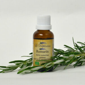 Bourgeon Romarin 30ml à 15 euros Protecteur du Foie - stimulant biliaire – Surcharge pondérale – Améliore la fonction cérébrale