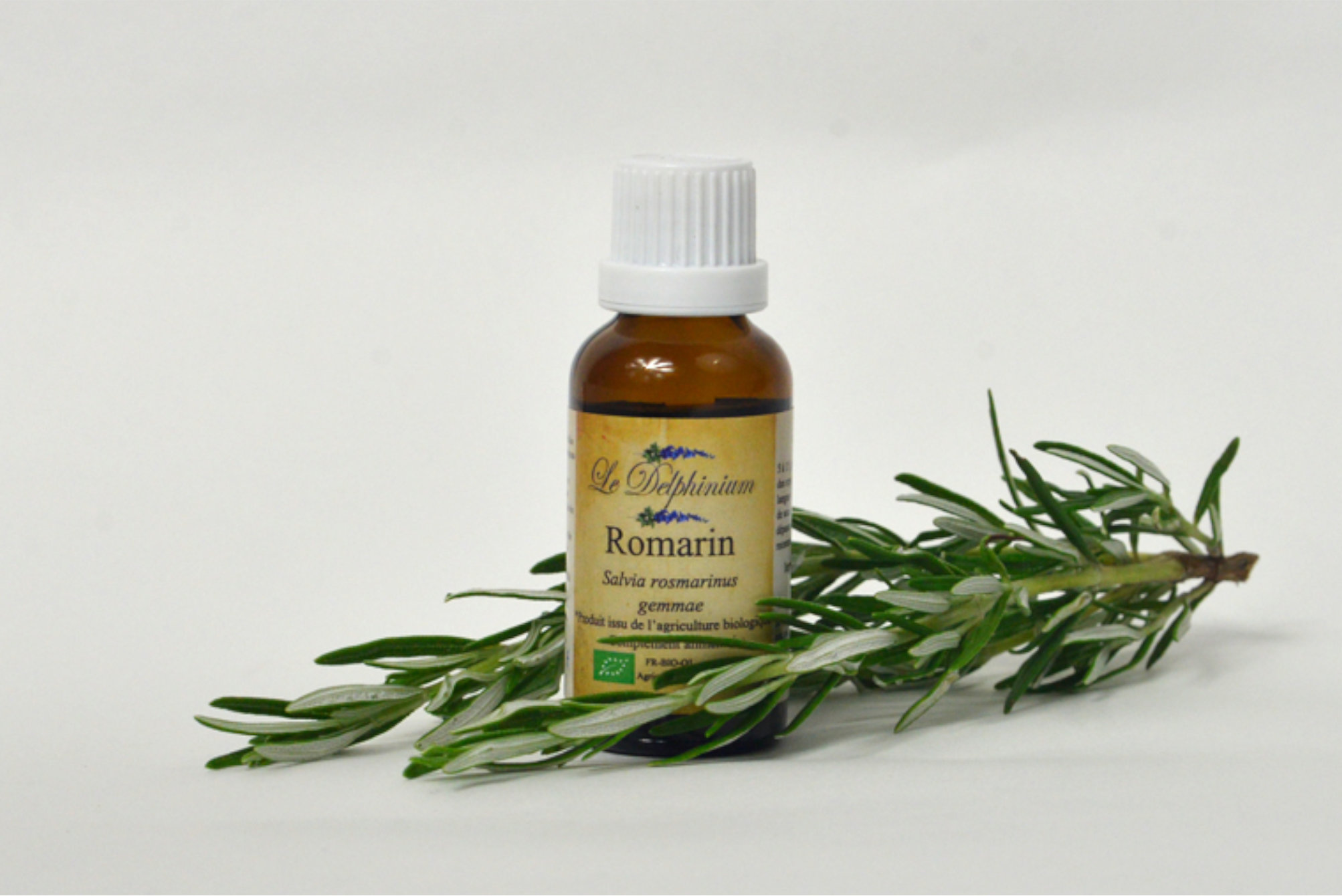 Bourgeon Romarin 30ml à 15 euros Protecteur du Foie - stimulant biliaire – Surcharge pondérale – Améliore la fonction cérébrale