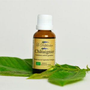 Gemmothérapie Châtaignier 30ml à 15 euros aide à la bonne circulation de la lymphe, apporte confort lorsque les extrémités des doigts ou des pieds sont gelés