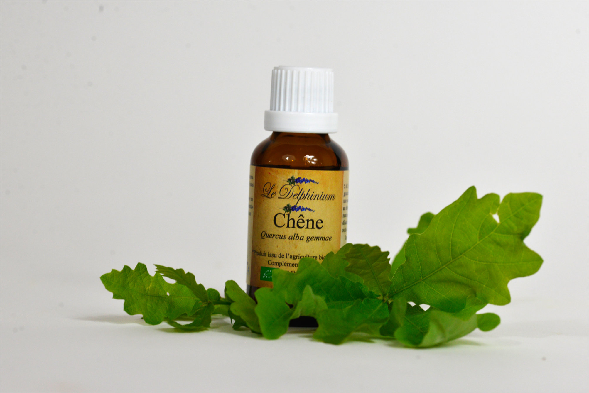 Gemmothérapie Chêne 30ml à 15 euros Bourgeon de l'homme, de l'adolescence, favorise la repousse de cheveux, protèges gencives (déchaussement), tonus sexuel