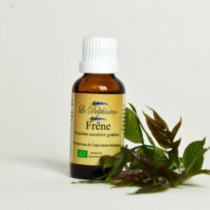 Gemmothérapie Frêne 30ml à 15 euros Protège les articulations – Diminiue le cholestérol et l'acide urique – Tendinite – Améliore une faible libido