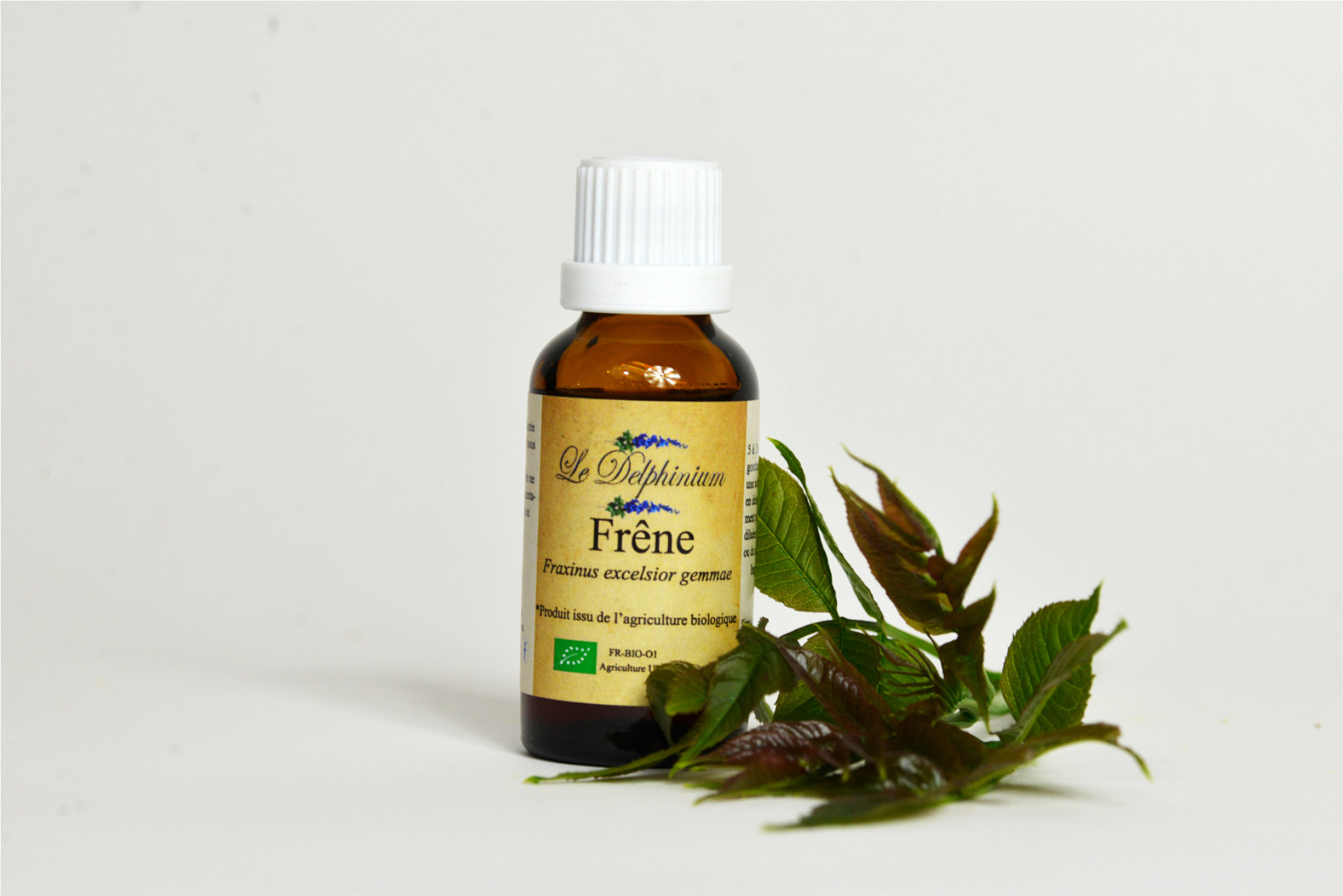 Gemmothérapie Frêne 30ml à 15 euros Protège les articulations – Diminiue le cholestérol et l'acide urique – Tendinite – Améliore une faible libido