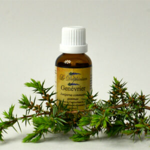 Gemmothérapie Genévrier 30ml à 15 euros Pour cure détox - Nettoie l'organisme en éliminant les déchets - Régule le taux de sucre lorsqu'il est légèrement élevé - soutient les fonctions du foie