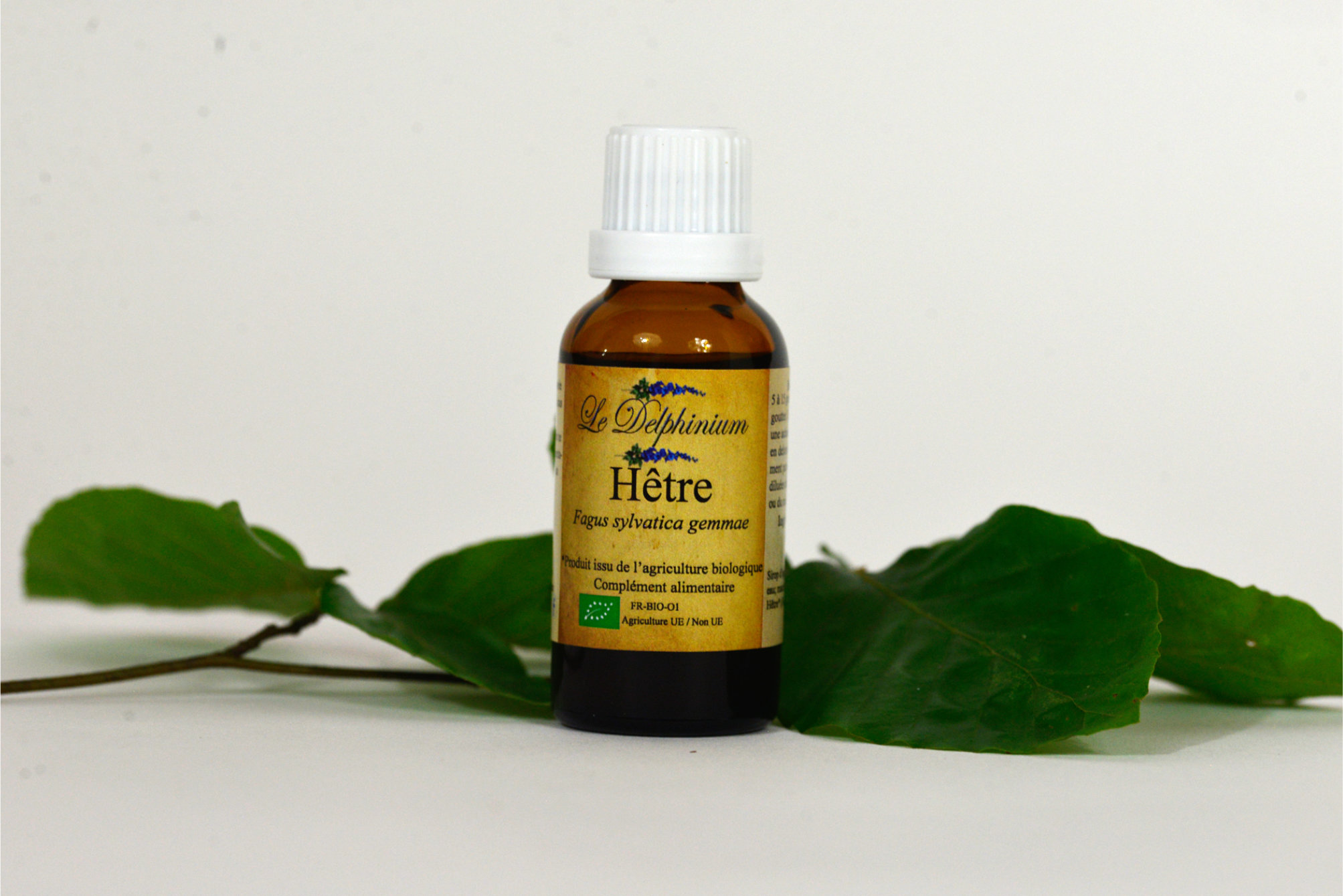 Bourgeon Hêtre 30ml à 15 euros. Augmente les défenses de l'organisme – Baisse de l'immunité lors de choc physique ou émotionnel – Elimine les déchets acides de l'organisme