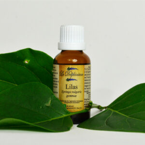 Bourgeon Lilas 30ml à 15 euros Bourgeon du cœur – Prend soin des artères – Améliore la vascularisation