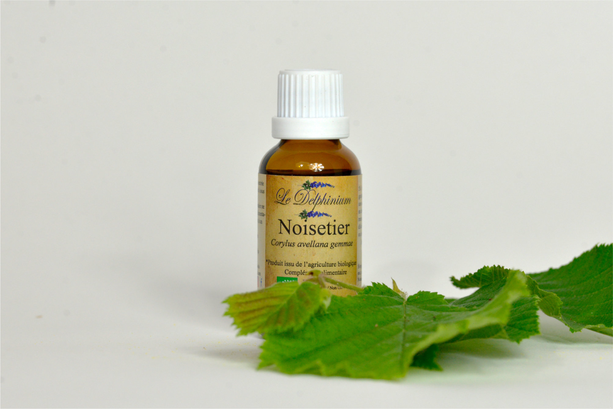Bourgeon Noisetier 30ml à 15 euros Bonne respiration et bon fonctionnement des bronches – Oxygène les poumons – Jambes sans repos – Réveil nocturne
