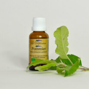 Bourgeon Pommier 30ml à 15 euros Bourgeon de la femme – Bouffée de chaleur – Aide à la fécondation – Action harmonisante sur le cycle menstruel – Mauvais cholestérol