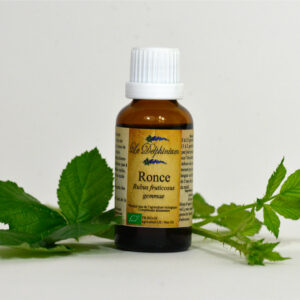 Bourgeon Ronce 30ml à 15 euros Tissus osseux – Anti-sénéscent – Arthrose – Rhumatisme évolué